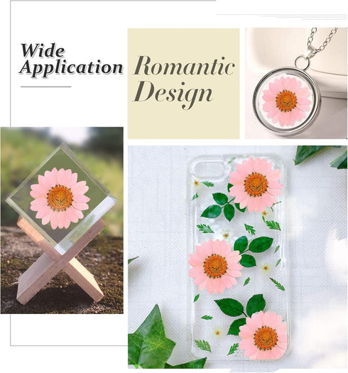 Dried Pressed Flowers, 60PCS Pink Natural Real Daisy, DIY Craft, Scrapbooking, Candle Making...