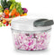 Manual Food Processor Vegetable Chopper 2.3 Cup Small Mini Hand Pull String Onion Chopper Garlic Mincer Cutter with 3 Stainless Steel Blades - Whi...