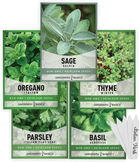 Gardeners Basics, Italian Herb Seeds for Planting 5 Variety Herbs Seed Packets Including Italian Flat Leaf Parsley, Sage, Oregano, Thyme, Basil - ...