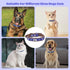 Pet Bling Accessories Cat and Dog Rhinestone Collar PU Leather Adjustable Collar (Medium, Navy Bule)...