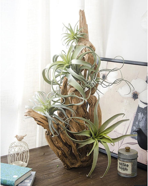 2PCS Artificial Flocking Tillandsia Air Plants Faux Succulents Bromeliads for Indoor/Outdoor Garden and Home Decor, Terrarium Decorations, Arrange...