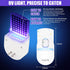 Gnat Trap for House Indoor Flying Insect Trap Bug Catcher Plug in Fly Trap Indoor Mosquito Trap UV Bug Light Bug Catcher with 5 Sticky Bug Trap Bo...