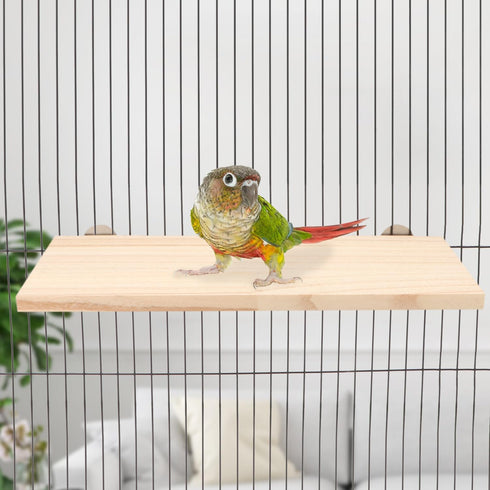 Wontee Bird Perch Stand Wooden Platform for Cockatiels Conures Rats Gerbils Chinchillas Squirrels (M)...