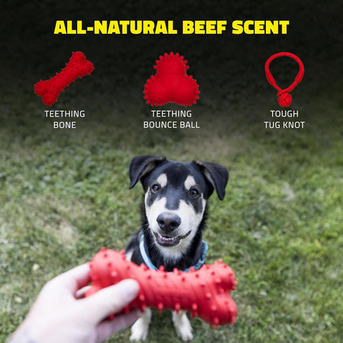 Playology Puppy Teething Bone Dog Toys, Large - Chew Toys with Squeaker for Puppies 4-8 Months (All breeds up to 60 lbs) - Engaging All-Natural Be...