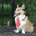 Segarty Neck Ties for Dogs, 6pcs Dog Tie, Adjustable White Dog Collar with Formal Classy Stripped Neck Tie for Pet Cats Small and Medium Boy Puppy...