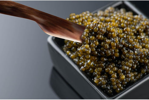 HIC Kitchen Caviar Spreader, Handcrafted in the United Kingdom, Responsibly Sourced Ankole Cow Horn, 5.75-Inch...