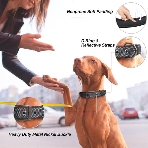 PetiFine Neoprene Padded Dog Collar, Heavy Duty Comfort Dog Collar with Durable Metal Buckle, Reflective Adjustable Belt Buckle Dog Collars for Sm...