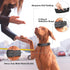 PetiFine Neoprene Padded Dog Collar, Heavy Duty Comfort Dog Collar with Durable Metal Buckle, Reflective Adjustable Belt Buckle Dog Collars for Sm...