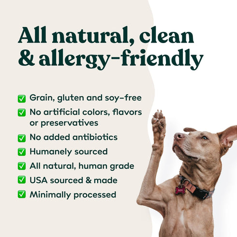 Freeze Dried Dog Treats - Beef Liver - Raw Single Ingredient Beef Liver Dog Treats for Snacks, Training, Dog Food Toppers - All Natural, Healthy D...