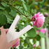 Abaodam Leaf Thorn Stripper Tool Roses Thorn Remover Professional Tree Pruner Hand Tools DIY Bouquet Garden Florist Tool for Gardening Flower Arra...