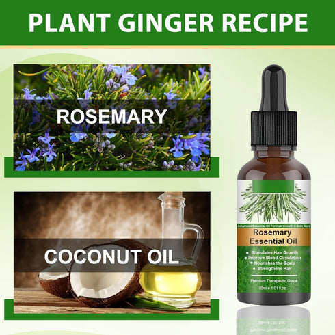 Organic Rosemary Oil Combo for Hair Growth, Discover Natural Hair Care with 1.01fl oz Essential Oils, Ideal for Scalp Massage, Skin Care, and Arom...