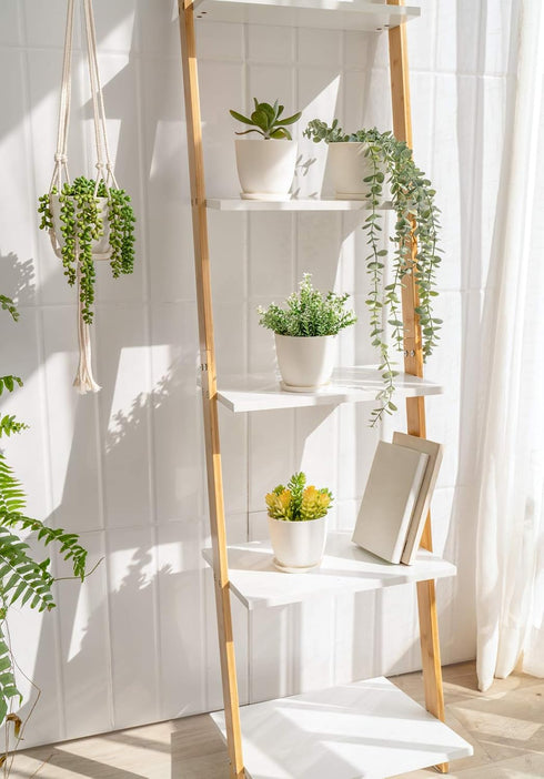 Mkono 4.5" Plastic Succulent Planters with Saucers, Indoor Set of 5 Nursery Pots Flower Plant Pot with Drainage for Small House Plants, Herbs and ...