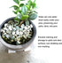 4 Pack White Invisible Pot Feet,Solid Silicone Risers for Plant Pots and Flowers.(Silicone)...