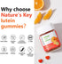 Nature's Key Lutein Gummies 12mg with Zeaxanthin & Vitamin A for Kids and Adults | Eye Health and Brain Function Supplement | Orange Flavor, 60Ct...
