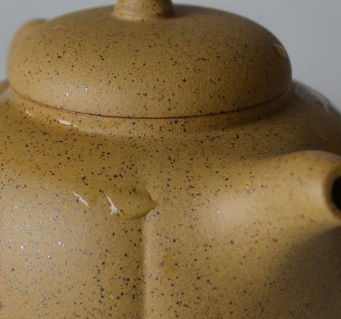 Teapot 8oz Chinese Clay Zisha Tea Pots Yellow Zini Eggplant for Loose Tea Coffee (Yellow)...