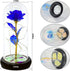 QUELIEN Beauty and Beast Rose,Galaxy Flower Rose Gift for Girlfriend?Glass Flower Roses?Unique Gifts for Women, Christmas, Birthday,Thanksgiving,A...