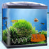 Fish tank vegetable feeder, aquarium vegetarian feeder, loach feeder, Malawi cichlid snail feeder, stainless steel sunken feeder 2PACK...