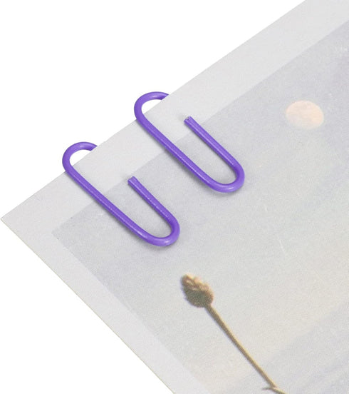 YOKIVE 600 Pcs Paper Clips, Office Clips Smooth Surface with Box | Keep Desk Neat, Great for Office, Art, Home, Daily Use (Purple, 1.1-Inch)...
