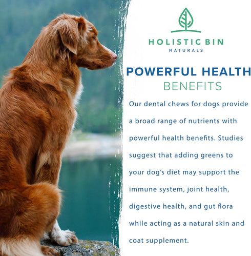 Canine Chlorella Tablets with Human Grade Fermented Chlorella for Dogs | Natural Dog Breath Freshener & Immune Booster Supplement | Dog Greens wit...