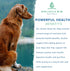 Canine Chlorella Tablets with Human Grade Fermented Chlorella for Dogs | Natural Dog Breath Freshener & Immune Booster Supplement | Dog Greens wit...