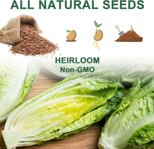 Salad Greens Seed Pod Kit with Lettuce and Tomato, Red and Green Leaf, Butter Head, Spinach for Hydroponic Pods, Grow Anything for Hydroponics Gro...