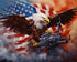Tucocoo Eagle Bird Paint by Numbers Patriotic 4th of July DIY Oil Painting Kit Canvas Pictures Drawing Paintwork Paintbrushes Acrylic Pigment Begi...