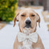 KOOLMOX Dog Bow Tie, Adjustable White Dog Collar Bow Tie for Medium and Large Dogs Cats Pets Wedding Birthday Graduation Holiday Homecoming Costum...