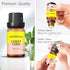 Candy Corn Fragrance Oil, Premium Grade Scented Oil for Aroma Diffusers, Perfume, Candle and Soap Making - 10ml...