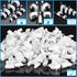 400 Pcs Cable Clips 4/6/8/10mm Nail in Cable Clips with Steel Ethernet Cable Clips Cable Wire Clips Cable Tacks Cable Nails Speaker Wire Clips Coa...