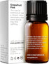 Gya Labs Grapefruit Essential Oil for Skin & Diffuser - 0.34 Fl Oz - 100% Pure Natural Grapefruit Oil for Skin, Hair, Aromatherapy DIY & Candle Ma...