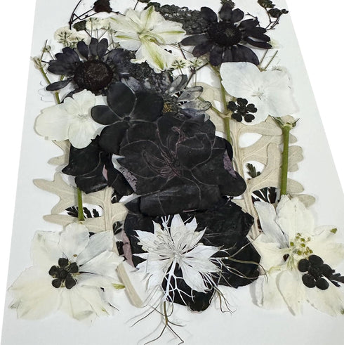 Cayway 2 Pack Dried Pressed Flowers for Resin Molds, Black Real Pressed Flowers Dry Leaves Kit Natural Dried Pressed Leaves for Art Crafts Resin S...