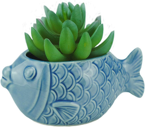 VanEnjoy 5" Ceramic Succulent Pot, Cute Ocean Blue Seashell Series, Conch Shaped Cactus Pot Planter, Flower Pot, Pottery Bonsai Pot (Seashell M)...