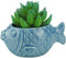 VanEnjoy 5" Ceramic Succulent Pot, Cute Ocean Blue Seashell Series, Conch Shaped Cactus Pot Planter, Flower Pot, Pottery Bonsai Pot (Seashell M)...