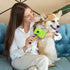 Self Cleaning Slicker Brush- for Dogs, Cats & Pets-One Click Cleaning Function-Gentle & Effective Cat, Pet & Dog Hair Remover-Dog Grooming Accesso...