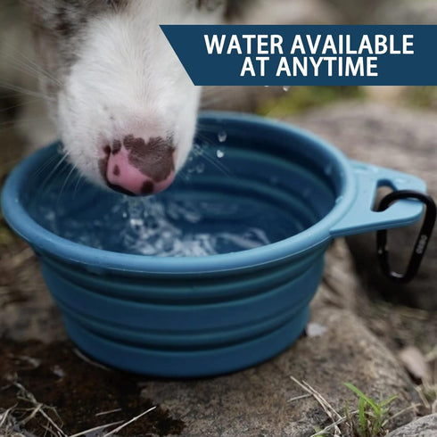 Collapsible Dog Bowl(2 Pack, Peacock&Light Blue 12oz/400ml) Premium Silicone Pet Water Bowls for Cats & Dogs, Portable Dog Travel Bowls Foldable f...