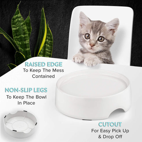 CatGuru Food Table for Cat Bowl, Non Slip Pet Feeding Station for Cat Food Bowls, Raised Stand for Food and Water Cat Bowls, Elevated Cat Feeder, ...