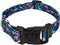 Country Brook Petz - Deluxe Dinosaurs Dog Collar - Made in The U.S.A. - Critter Corner Collection featuring Creature Themed Designs (1 Inch, Large...