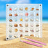 36 Grids Acrylic Magnetic Seashell Display Box, Advantageouse Acrylic Magnetic Seashell Display Box, Clear Seashell Storage Box, for Bead, Nail, J...