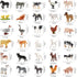 ONEST 30 Pieces Mini Farm Animal Figurines Playset Hand Painted Tiny Farm Animals Realistic Detailed Plastic Puppy Figures Toys for Kids Adults...