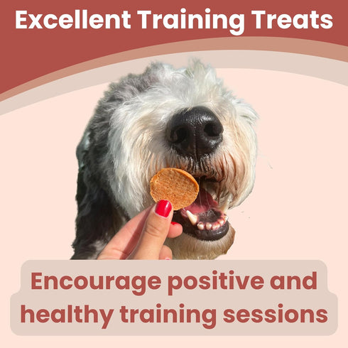 Dog Training Treats - Turkey Chips, Single Ingredient, Lean, All Natural, Healthy Dog Treats for Small, Medium, Large Dog Breeds, & Puppies, Made ...