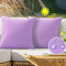 Outdoor Waterproof Throw Pillow Covers 16X16 Set of 2 Decorative Purple Patio Furniture Cushion Cases Outside Decor for Couch Garden Bench Porch...