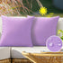 Outdoor Waterproof Throw Pillow Covers 16X16 Set of 2 Decorative Purple Patio Furniture Cushion Cases Outside Decor for Couch Garden Bench Porch...