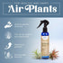 Air Plant Fertilizing Spray by Southside Plants - Fertilizer Mist for Houseplants, Weekly Plant Food - Gentle Mist Formula for Miracle Feed & Grow...
