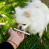 MON2SUN Dog Rawhide Twist Sticks Natural 5 Inch Thin Sticks Rawhide Chews Dog Treats for Puppy and Small Dogs 60 Count...