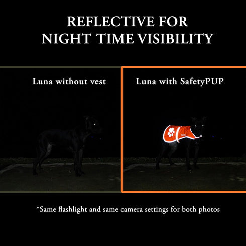 Dog Reflective Vest, Sizes to Fit Dogs 14 lbs to 130 lbs - SafetyPUP XD Hi Vis, Safety Vest Keeps Dogs Visible On and Off Leash in Both Urban and ...