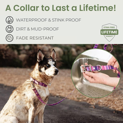 Waterproof Dog Collar | 100% Washable, Stink Proof, Odor Proof, Fade Proof | Easy to Clean, Quick-Dry, Soft & Flexible Yet Durable | Rust & Corros...