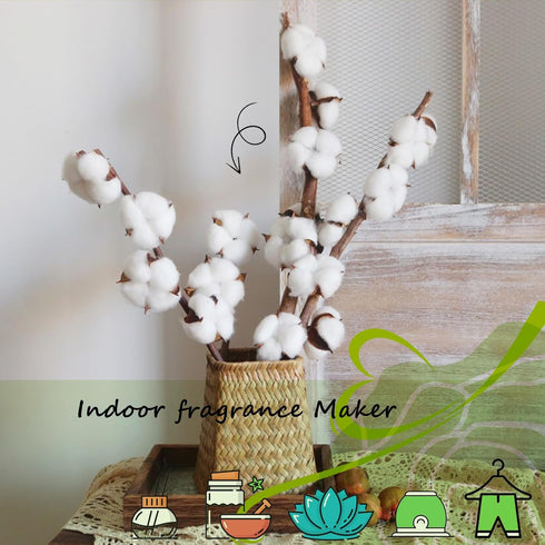 30+30ml Travel Size Pure Cinnamon Jojoba Essential Oil Set Diffuser Aromatherapy Spiced Fall Candle Making Home Fragrance Scents Holiday Christmas...