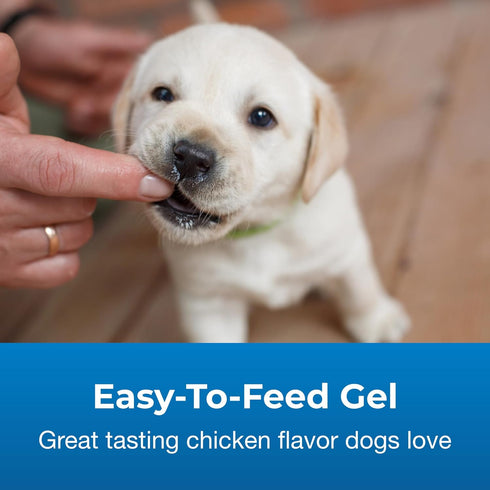 Pet-Ag High Calorie Gel Supplement for Dogs - 5 oz - Chicken Flavor - Provides Extra Calories for Dogs 8 Weeks and Older - Easy to Digest...