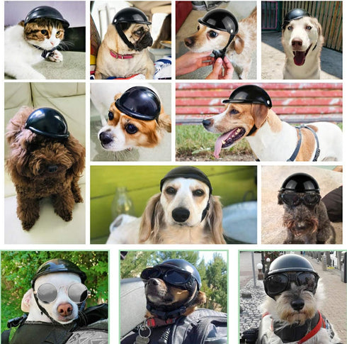 Dog Helmet Pet Motorcycle Helmet Safety Dog Cap for Biking Cycling, Small Doggie Puppy Helmet Pet Hat (S, Black)...