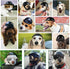 Dog Helmet Pet Motorcycle Helmet Safety Dog Cap for Biking Cycling, Small Doggie Puppy Helmet Pet Hat (S, Black)...